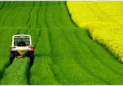 Agricultural-Industry-Site-Pic